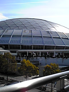 110219_1234~01.JPG