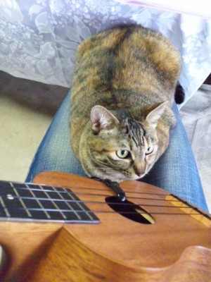 20091207 1625.jpg