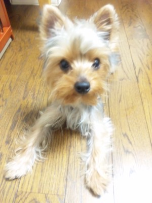 20100102 0934.jpg