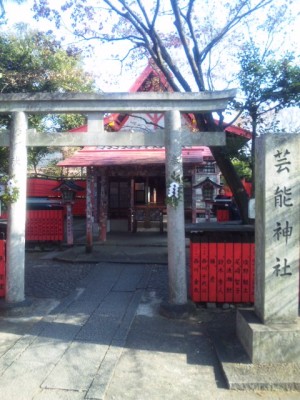 20100104 1359.jpg